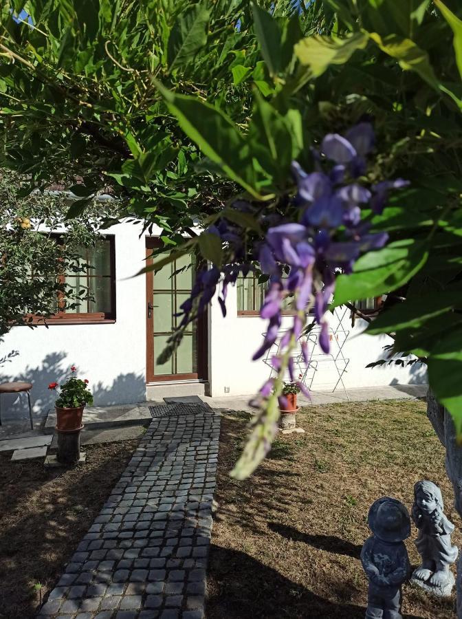 Courtyard Studio Oradea Exterior foto
