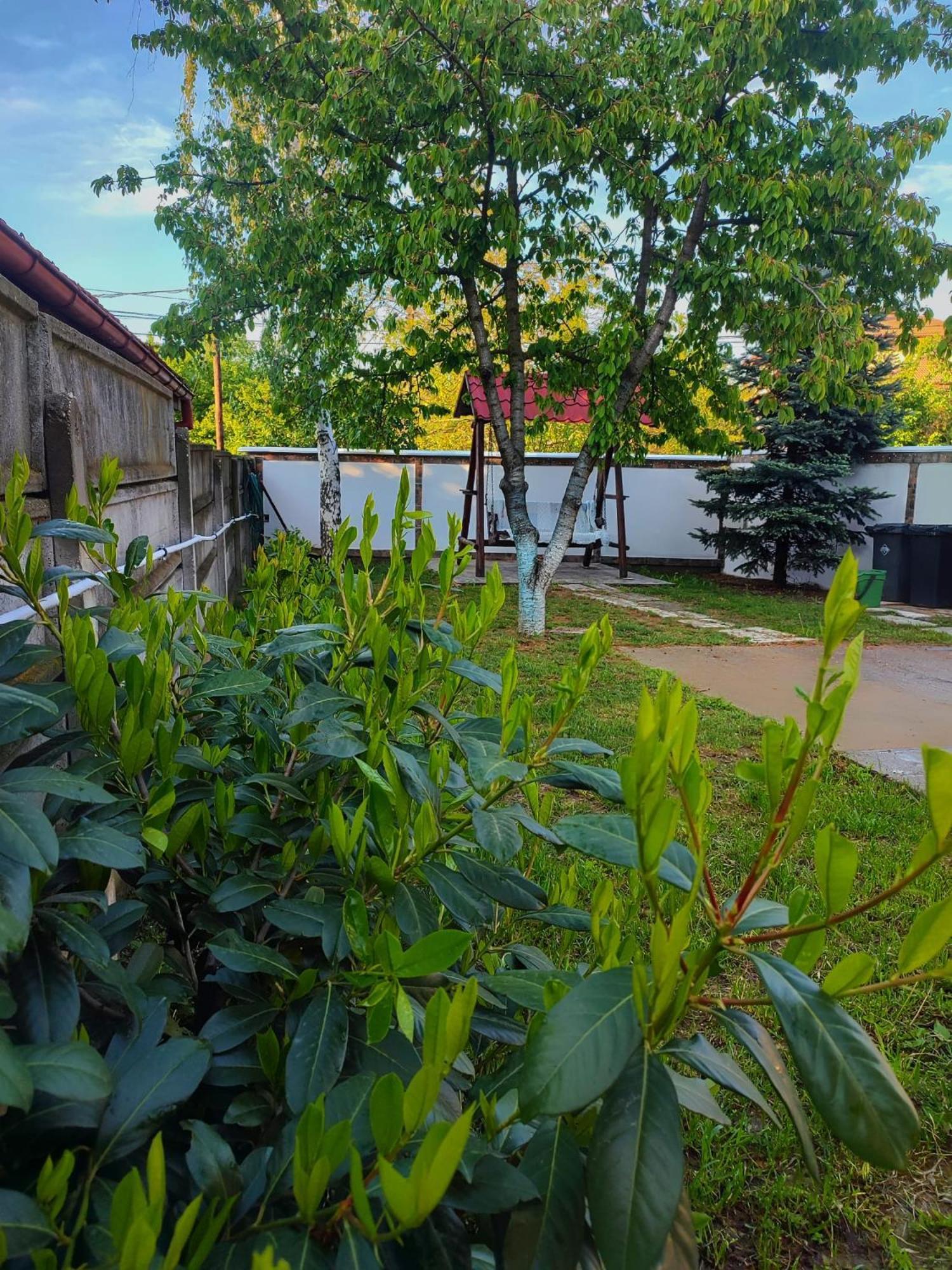 Courtyard Studio Oradea Exterior foto
